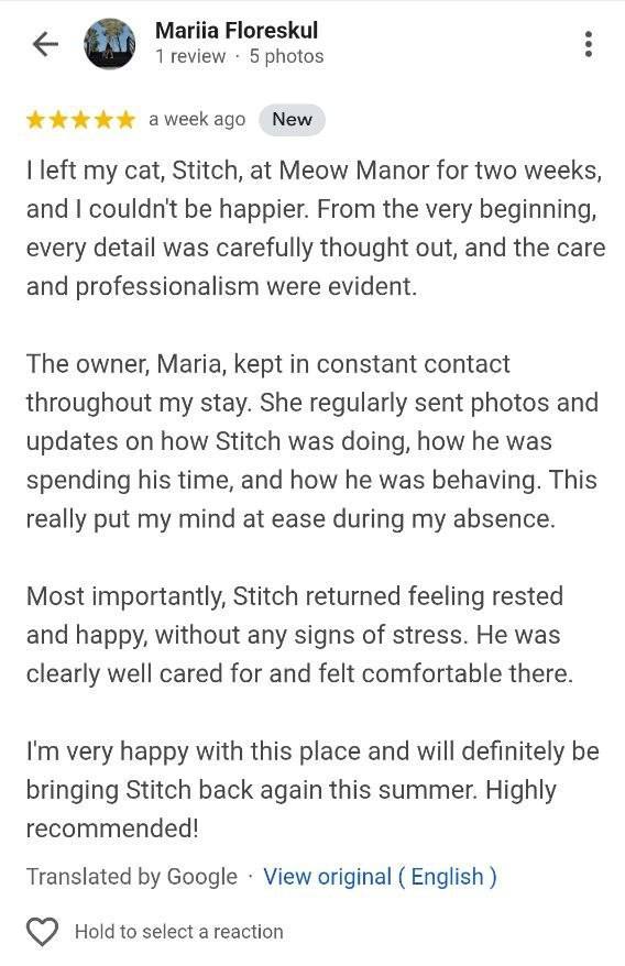 Customer review screenshot