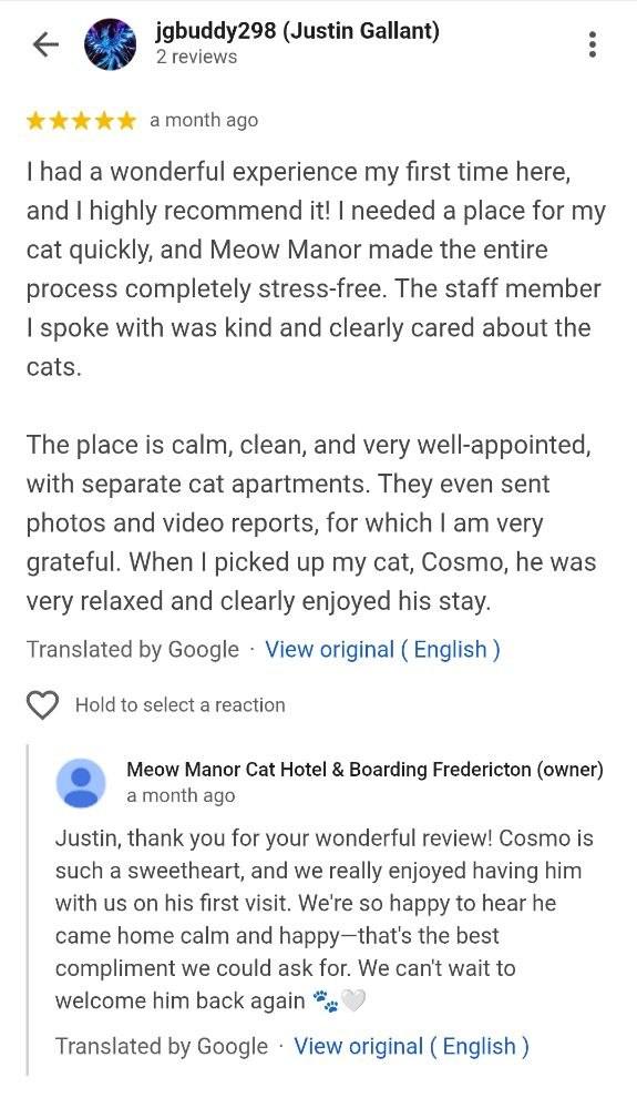 Customer review screenshot